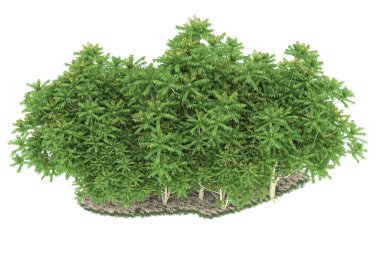 Realistic forest isolated on white background. 3d rendering - illustration