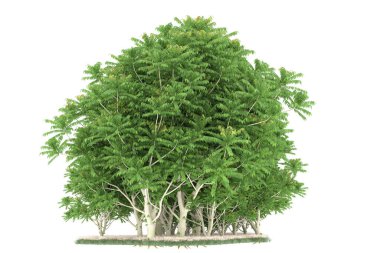 Realistic forest isolated on white background. 3d rendering - illustration