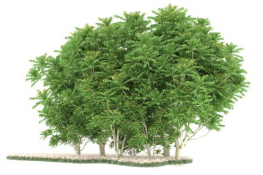 Realistic forest isolated on white background. 3d rendering - illustration