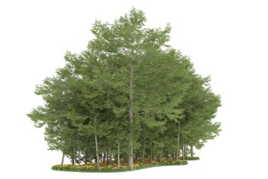 Realistic forest isolated on white background. 3d rendering - illustration