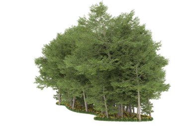 Realistic forest isolated on white background. 3d rendering - illustration