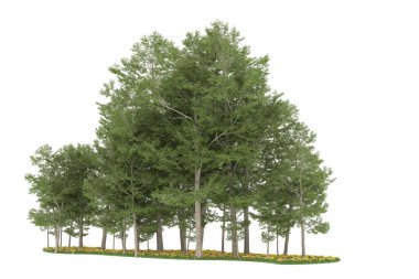 Realistic forest isolated on white background. 3d rendering - illustration