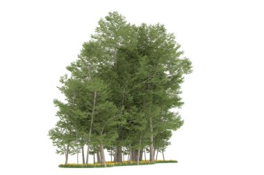 Realistic forest isolated on white background. 3d rendering - illustration