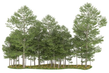 Realistic forest isolated on white background. 3d rendering - illustration