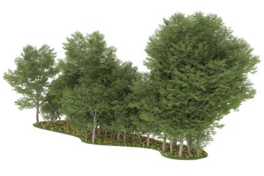 Realistic forest isolated on white background. 3d rendering - illustration