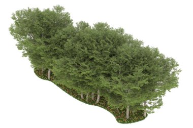 Realistic forest isolated on white background. 3d rendering - illustration