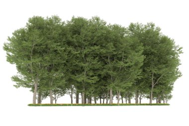 Realistic forest isolated on white background. 3d rendering - illustration