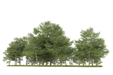 Realistic forest isolated on white background. 3d rendering - illustration