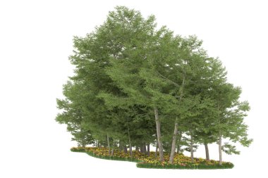 Realistic forest isolated on white background. 3d rendering - illustration