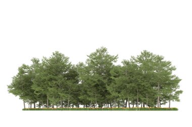 Realistic forest isolated on white background. 3d rendering - illustration