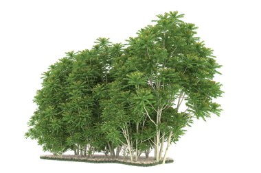 Realistic forest isolated on white background. 3d rendering - illustration