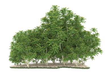 Realistic forest isolated on white background. 3d rendering - illustration