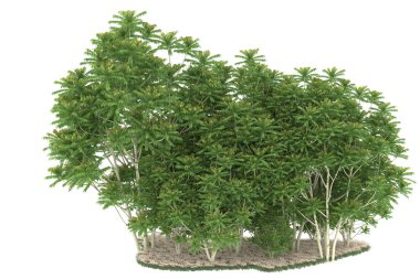 Realistic forest isolated on white background. 3d rendering - illustration