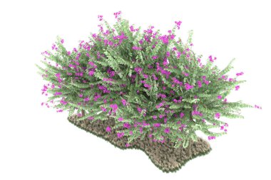 Realistic forest isolated on white background. 3d rendering - illustration