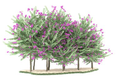 Realistic forest isolated on white background. 3d rendering - illustration