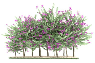 Realistic forest isolated on white background. 3d rendering - illustration