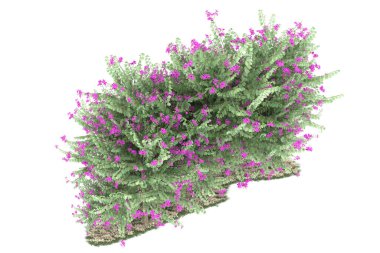 Realistic forest isolated on white background. 3d rendering - illustration