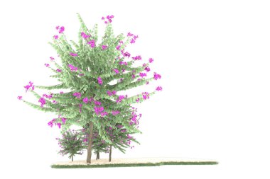 Realistic forest isolated on white background. 3d rendering - illustration