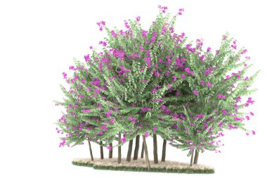 Realistic forest isolated on white background. 3d rendering - illustration