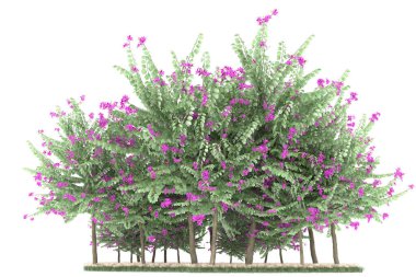 Realistic forest isolated on white background. 3d rendering - illustration