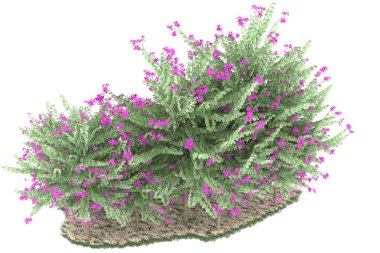 Realistic forest isolated on white background. 3d rendering - illustration