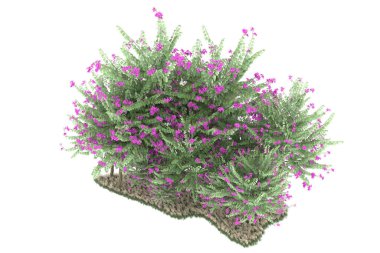 Realistic forest isolated on white background. 3d rendering - illustration