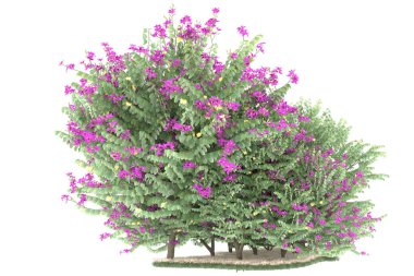 Realistic forest isolated on white background. 3d rendering - illustration