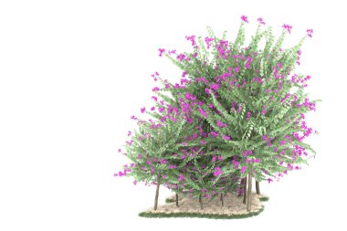 Realistic forest isolated on white background. 3d rendering - illustration