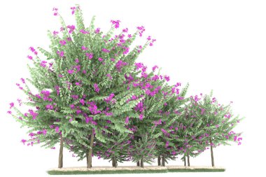 Realistic forest isolated on white background. 3d rendering - illustration