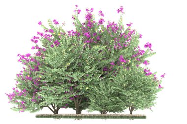 Realistic forest isolated on white background. 3d rendering - illustration