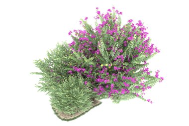 Realistic forest isolated on white background. 3d rendering - illustration