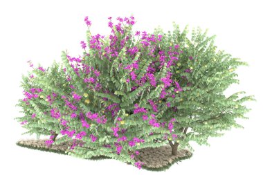 Realistic forest isolated on white background. 3d rendering - illustration