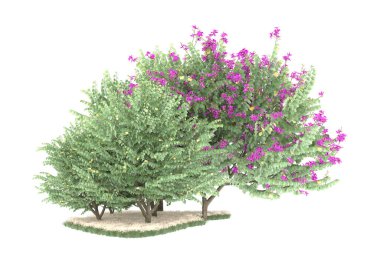 Realistic forest isolated on white background. 3d rendering - illustration