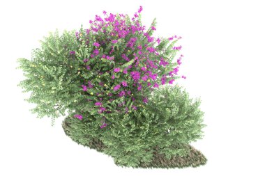 Realistic forest isolated on white background. 3d rendering - illustration