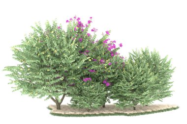 Realistic forest isolated on white background. 3d rendering - illustration