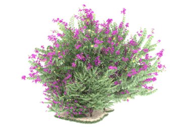 Realistic forest isolated on white background. 3d rendering - illustration