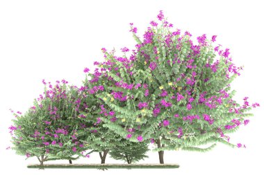 Realistic forest isolated on white background. 3d rendering - illustration