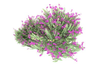 Realistic forest isolated on white background. 3d rendering - illustration