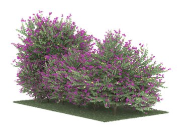 Realistic forest isolated on white background. 3d rendering - illustration