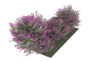 Realistic forest isolated on white background. 3d rendering - illustration