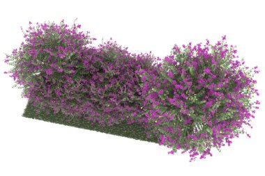 Realistic forest isolated on white background. 3d rendering - illustration