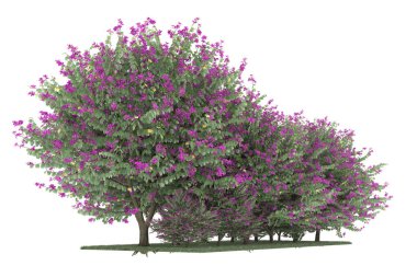 Realistic forest isolated on white background. 3d rendering - illustration