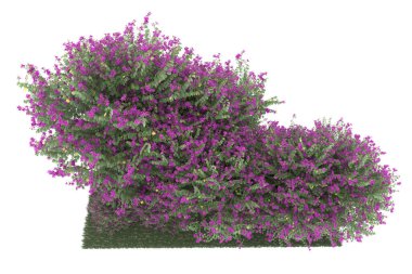 Realistic forest isolated on white background. 3d rendering - illustration