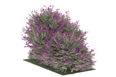 Realistic forest isolated on white background. 3d rendering - illustration