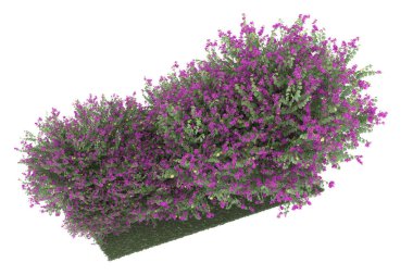 Realistic forest isolated on white background. 3d rendering - illustration