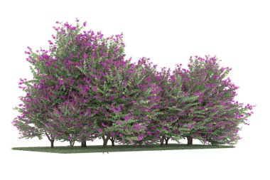 Realistic forest isolated on white background. 3d rendering - illustration