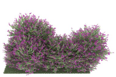 Realistic forest isolated on white background. 3d rendering - illustration