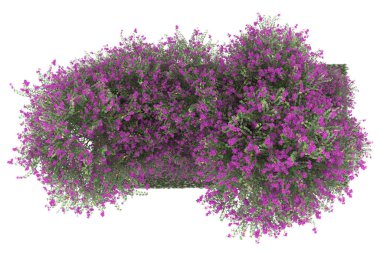 Realistic forest isolated on white background. 3d rendering - illustration