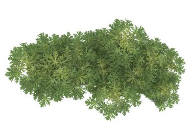 Realistic forest isolated on white background. 3d rendering - illustration