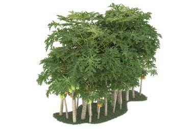 Realistic forest isolated on white background. 3d rendering - illustration